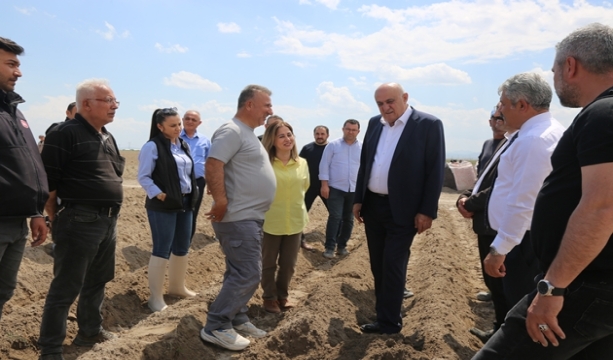 BAŞKAN ERKOYUNCU PATATES EKİMİNE KATILDI: BAĞIMLILIK BİTİYOR, KAPASİTE ARTIYOR!
